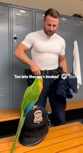 Police Locker Room #parrot #parrottalking #police | Academia.ingles.s