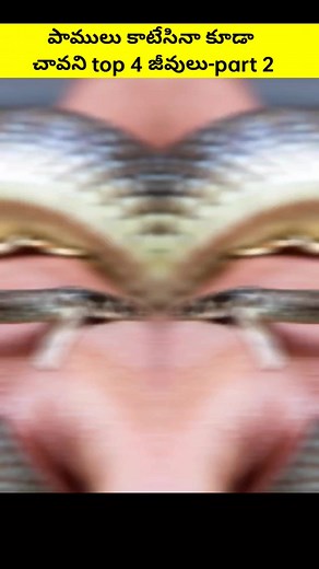 627K views · 9.6K reactions | The Fact Story on Reels | Facebook