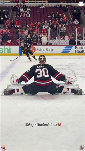 That's Boy Aquarium's pregame vibe - hands off😤🔥#hocky#nhl #boyaquarium #fyp #hockeytiktoks