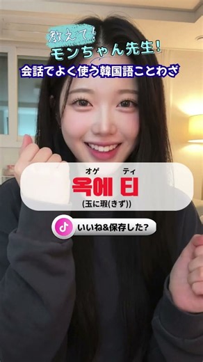 【上級編】これ話せたら韓国人も驚く『会話で使える韓国語ことわざ』TOP7♪| (教えてモンちゃん先生#234) #韓国語勉強
