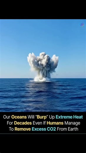 4.9K views · 38 reactions | It's Already Locked In: The Ocean's...