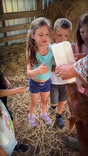 2K reactions · 43 comments | This is our Annie (named after Little...