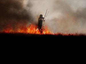 Rambo: Last Blood - Apple TV