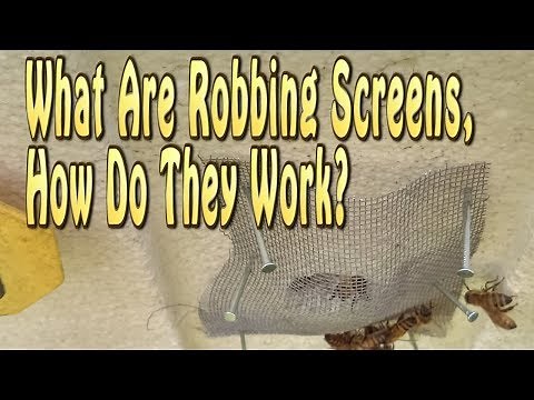 Bee Hive Robbing Screens & How Robbing Screen Work