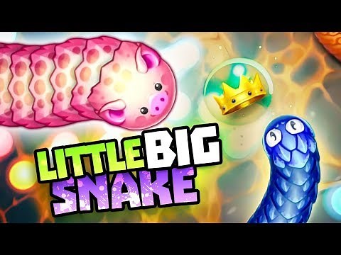 BE THE BIGGEST SNAKE AND WIN CROWNS - Little Big Snake Gameplay - New IO Game Littlebigsnake
