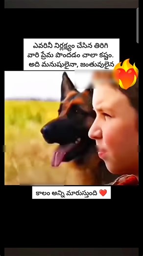 What Does a German Shepherd Dog Mean? Explore the Breed's Legacy
