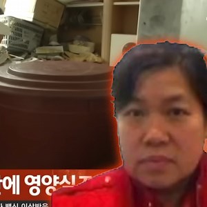 506K views · 7.8K reactions | The Chilling Kimchi Chronicles | Stephanie Soo | Facebook