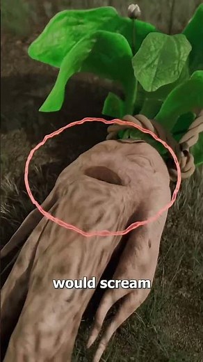 The Legend of the Screaming Plant 🌿 | Myth, Science, or Truth?