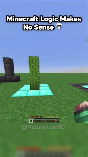 minecraft logic makes no sense 😂