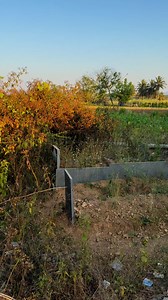 15K views · 768 reactions | PLEASE SHARE ✅ QR CODE NAME | Humanity Youth Courage Mission Qabristan | Hallur Karnataka India.Name: HUMANITY YOUTH COURAGE AC NO: 924020059186174IFSC CODE: UTIB0003306Bank : Axis Bank @syed_ayub_hyc ☝️Support Our Work♥️ Watch till end.#viral #ayub #reelsinstagram #islam #explore #india #reels #exploremore | Syed Ayub HYC Office | Facebook