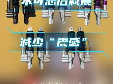 九号1500预算如何升级方案#丛林摩配 #九号电动#凌博雷霆x90max#九号升级 #鼓改碟#新手入门