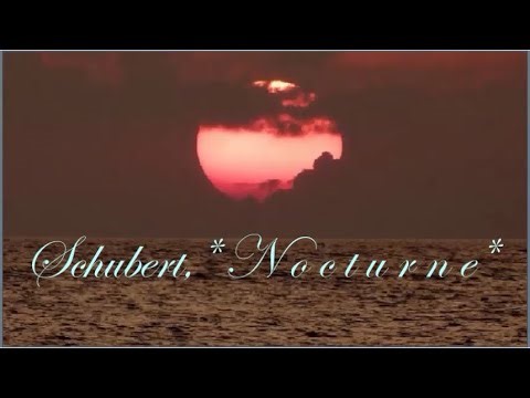 Schubert, Nocturne ~ *Trio* (Piano, Violin, Cello) *ღ♫*ﾟ･♥*