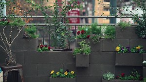 255K views · 977 reactions | Learn how to take advantage of every square inch with 5 easy steps to an urban garden. | Fiskars | Facebook