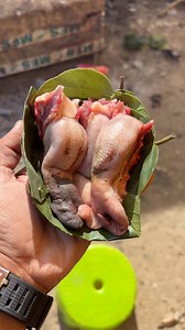 181K views · 665 reactions | Most Exotic Adivasi Food | Goat Tongue Recipe | Namaste India | Facebook