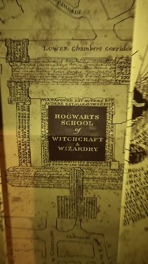 COLLECTION CHECK!!! #foryourpage #mycollection #harrypottercollection #HP #fyp #harrypotter #ronaldweasly #hermionegranger #griffindor❤️🦁 #harrypotte