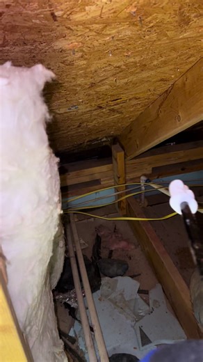 Gotta call that out! When it comes to attic inspections, the key is to take your time. A rushed arrive inspection normally leads to undiscovered defects. #inspection #inspector #realtor #homeinspection #homeimprovement