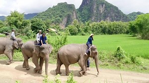 Group People Riding Elephants Stock Footage Video (100% Royalty-free) 1032354170 | Shutterstock
