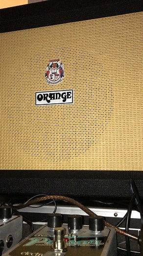 Knee socks live tone.