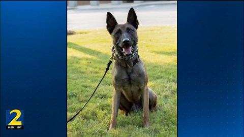 Meet K9 Scooby: Athens-Clarke County Police Department’s newest member