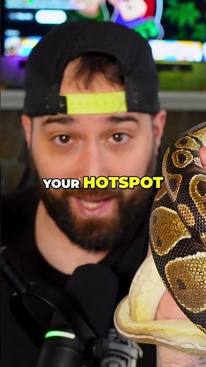 Ball Python Not Eating? Fix Husbandry First! (Temps & Humidity)