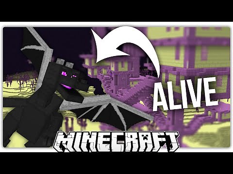 Minecraft | Get to The End City Dungeons Without Killing The Ender Dragon!