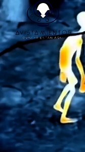 🚨 drone de reconocimiento graba supuesto alienígena gris 😱👽 #new #ovnis #UAP #NUEVO #BreakingNews #alien #aliens #et #alienigenas #extraterrestres #drone #RusiaVsUcrania #bosque #criaturas | Avistamientos ovni "ya están aqui''