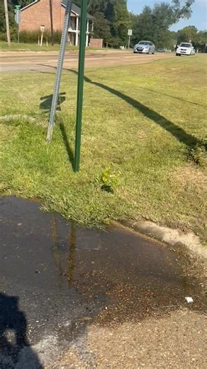 Michael Dwayne Harris on Reels