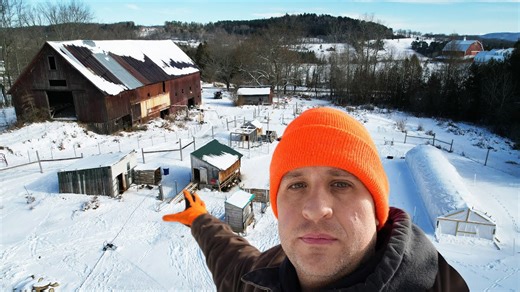 A complete winter tour of the cattle geese and ducks at Gold Shaw Farm