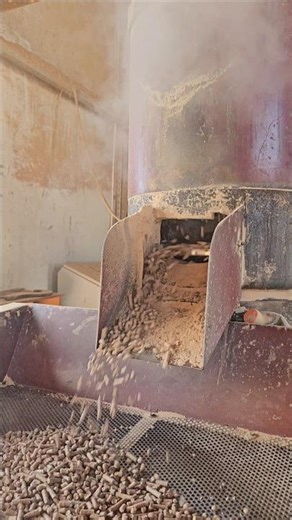 MDF Chips + Water 🔥 (Pellet Fuel Production) #pellet #machine #fuel #mdf #production