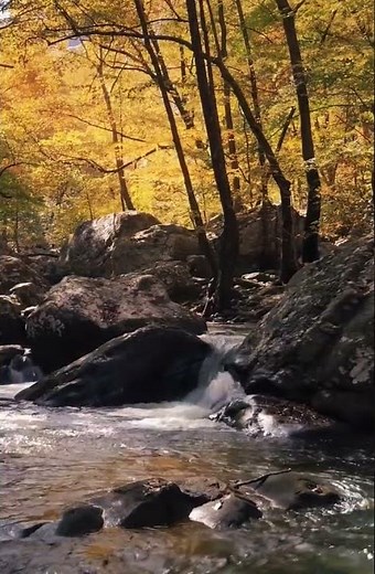 Relaxační meditační proti stresu, Meditační hudba na spaní, Léčivá hudba