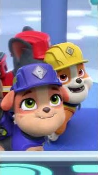 Chase uses the computer to solve a puzzle!