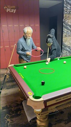 🎱 Funny videos billiards millions views p1073 #billiards #comedy