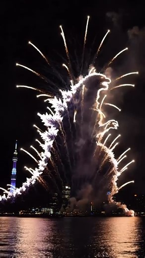 Gentlemens magazine on Instagram: "Godzilla fireworks in Tokyo?! 🎇🦖🤯 Is this real?!"