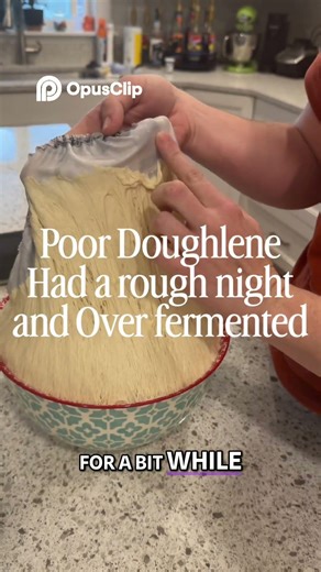 My Sourdough is Way Overproofed 😱