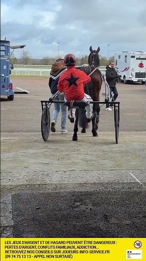 Vlog of the stables in Lisieux 🍀 (Today's Quinté and tomorrow's Quinté)