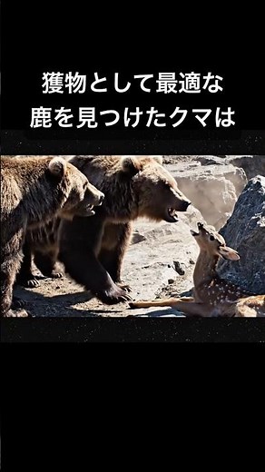 The kindness of the bear who saved the deer is so moving