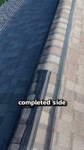 This Is How We Keep Homes Safe From Bats