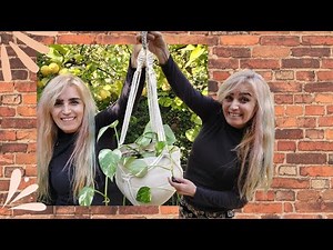 Mira lo que hice con bidones de agua, macetas que cuelgan