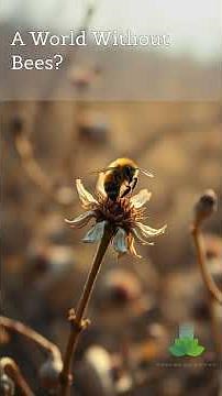 The REAL Importance of BEES in Our Ecosystem