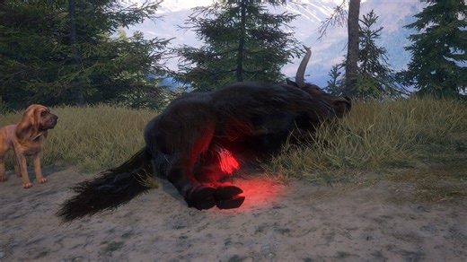 是 牛 牛 总 会 发 光