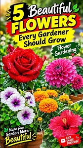 5 Beautiful Flowers Every Gardener Should Grow In October 🌹🌸 | Flower Gardening