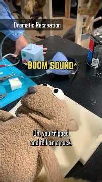 Occupational HAZARDS of Being a Squirrel Puppet