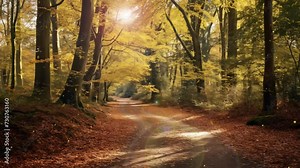 woodland walk in the new forest in autumn. path in the forest. seamless looping overlay 4k virtual video animation background Stock Video