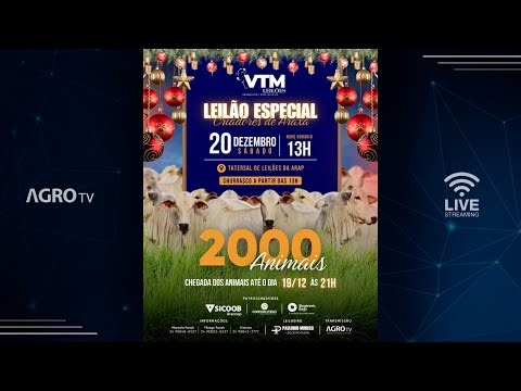 MEGA LEILÃO CRIADORES DE ARAXÁ - VTM E CONVIDADOS - 20/12/2025