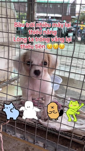 Spring beans don’t all behave the same way. Their scope decides how often they’re created, how long they live, and who gets to use them. Let’s break it down. 𝗦𝗶𝗻𝗴𝗹𝗲𝘁𝗼𝗻 𝗦𝗰𝗼𝗽𝗲: It is the default scope. Creates a single, shared instance per container, which is cached and reused for all requests. Lifecycle: Created at container startup (eager) or on first use (lazy); reused for every injection. Used for stateless services or shared configuration. ✅ Pros - Memory-efficient - Shared and 