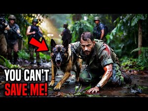 K9 Dog Found a Navy SEAL Dying — When He Acted and Shocked the Entire SEAL Force