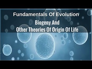 Biogeny, Other Theories Of Origin Of Life