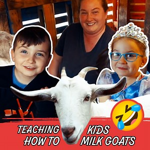 37K views · 887 reactions | Our KIDS are mini-homesteaders now! | Stivers Homestead | Facebook