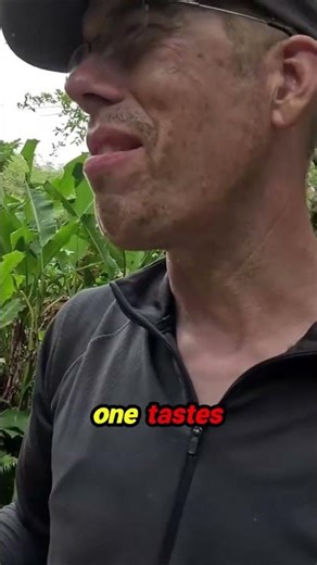 Jungle Snack Test! You HAVE to see what they're eating at the USMC Survival School! 🍌