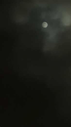 Darkness Covered the Yard… Only the Moon Broke Through